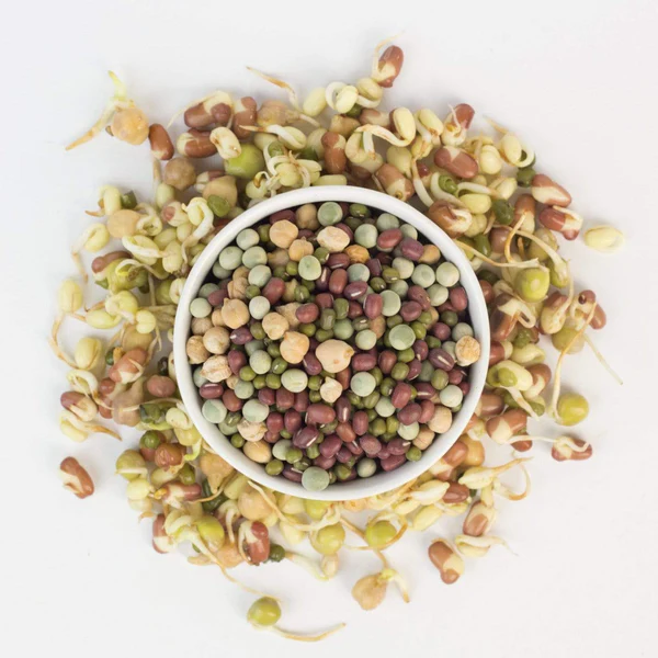 Mitahar Rotica's Read-to-Eat Sprouted Jowar